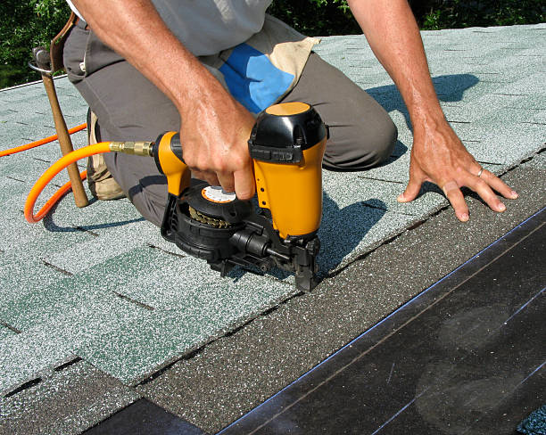 Best Roof Gutter Cleaning  in White Cloud, MI