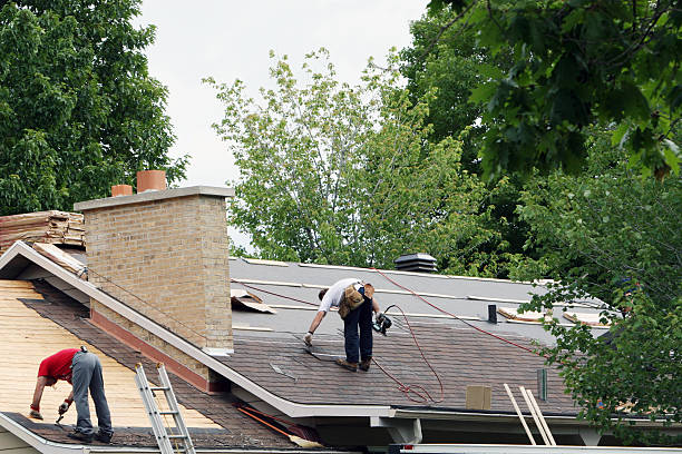 Best Roof Maintenance Services  in White Cloud, MI