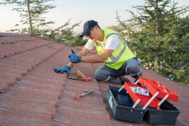 Best Roof Maintenance Services  in White Cloud, MI