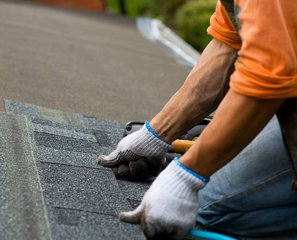 Best Roofing Contractor Near Me  in White Cloud, MI