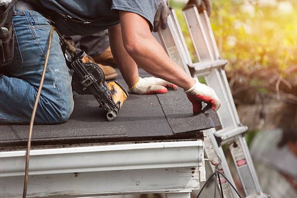 Best Roof Repair Services  in White Cloud, MI