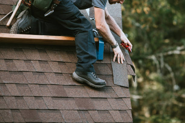 Best Affordable Roofing Company  in White Cloud, MI